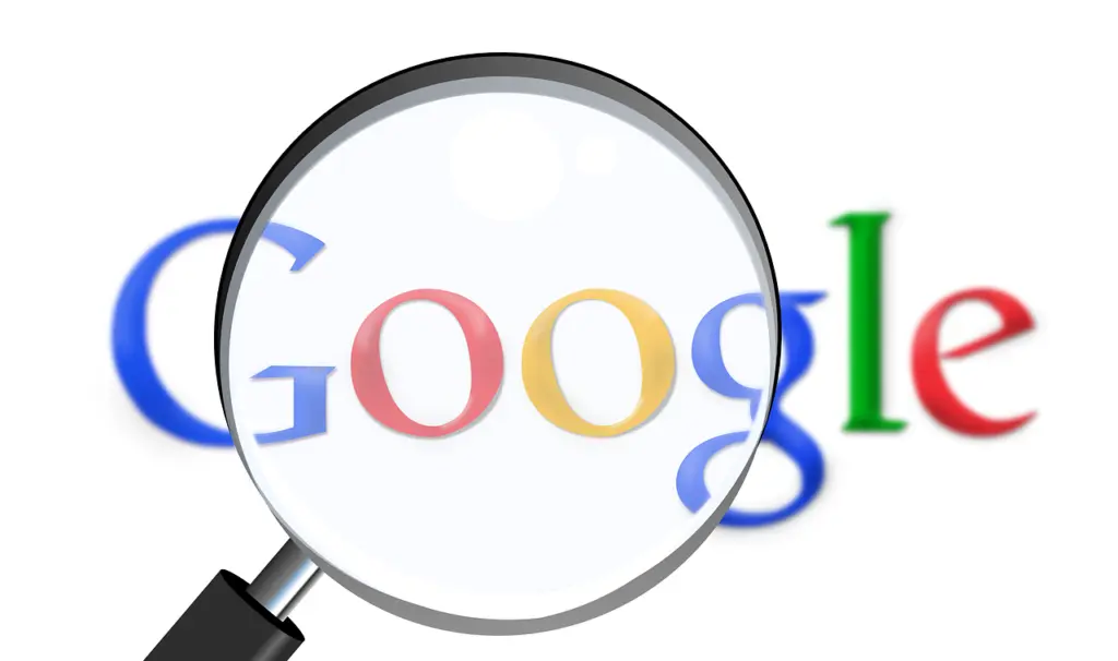tipos de buscadores web en internet